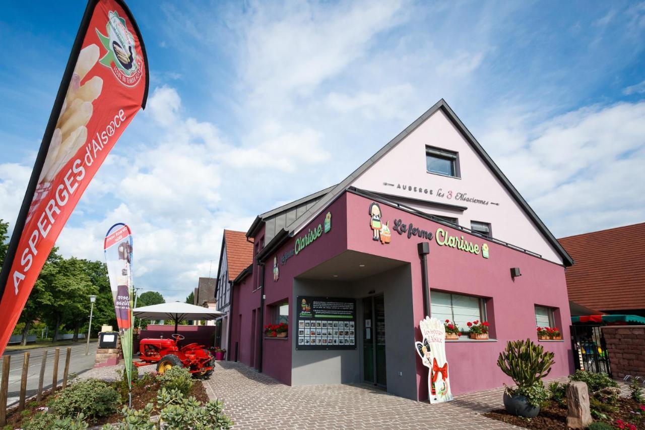 Les 3 Alsaciennes Lägenhet Sigolsheim Exteriör bild